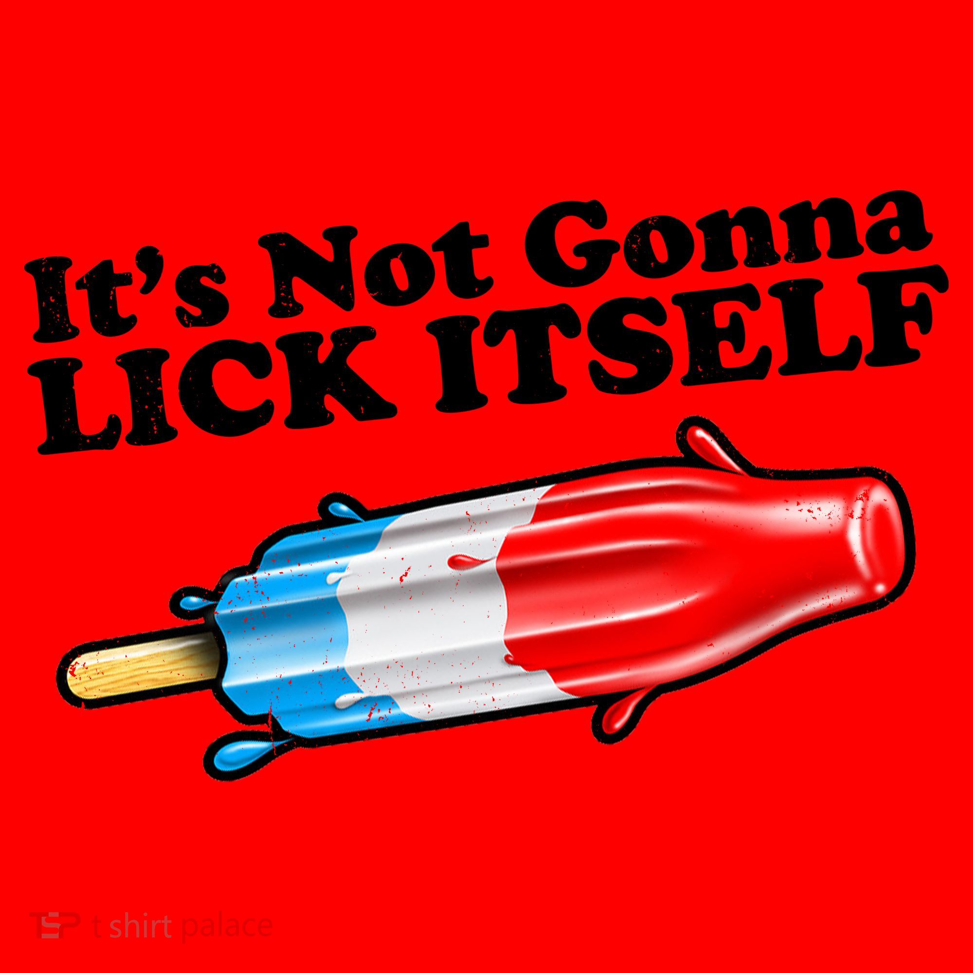 Its Not Gonna Lick Itself Funny Popsicle Santa Hat