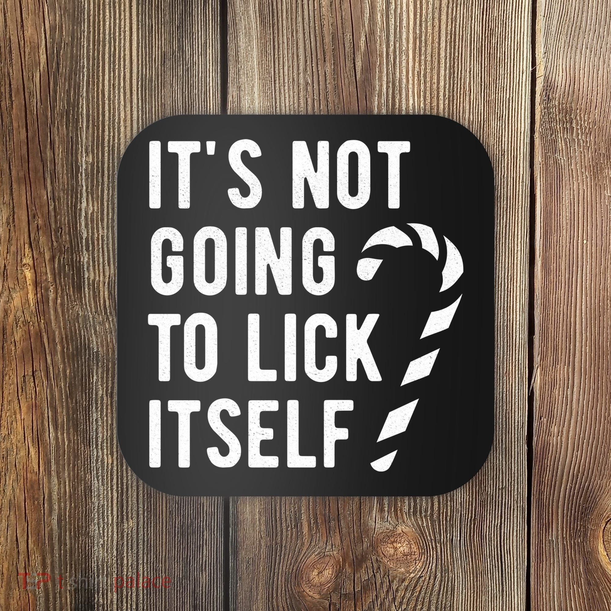 Its Not Going To Lick Itself Funny Christmas Coaster