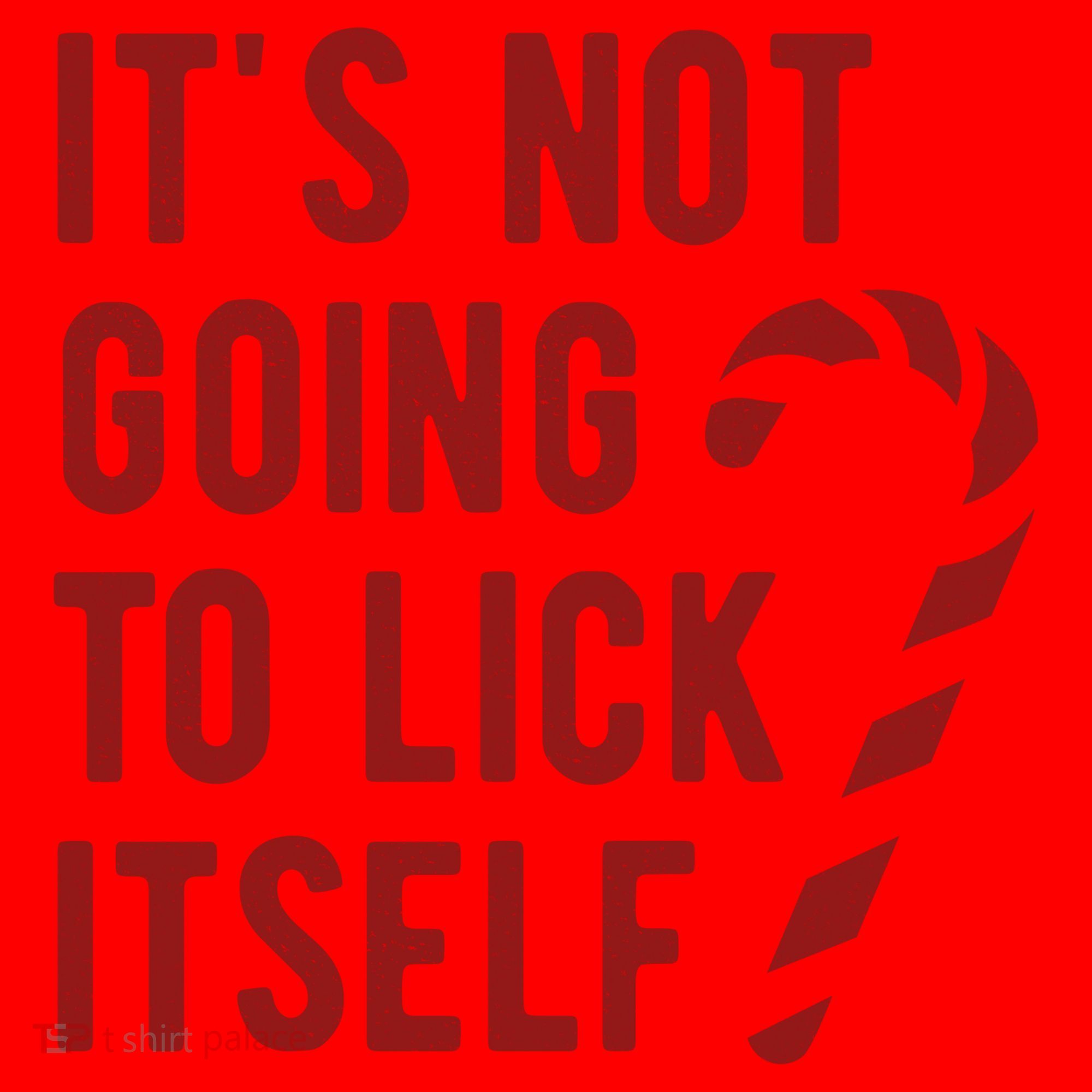 Its Not Going To Lick Itself Funny Christmas Santa Hat