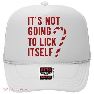 Its Not Going To Lick Itself Funny Christmas Hat