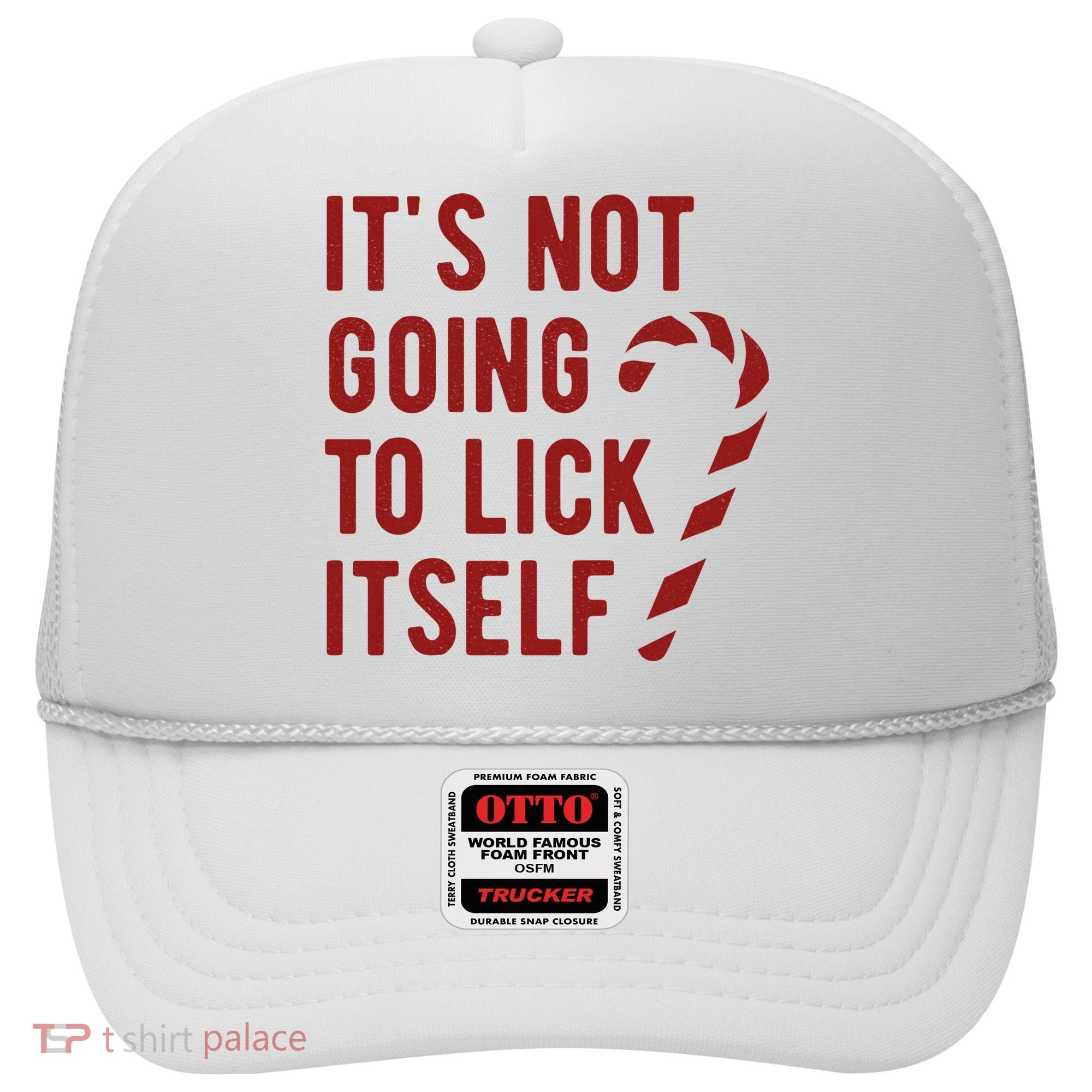 Its Not Going To Lick Itself Funny Christmas Hat