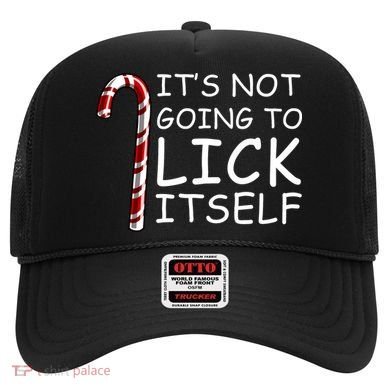 IT'S NOT GOING TO LICK ITSELF Hat