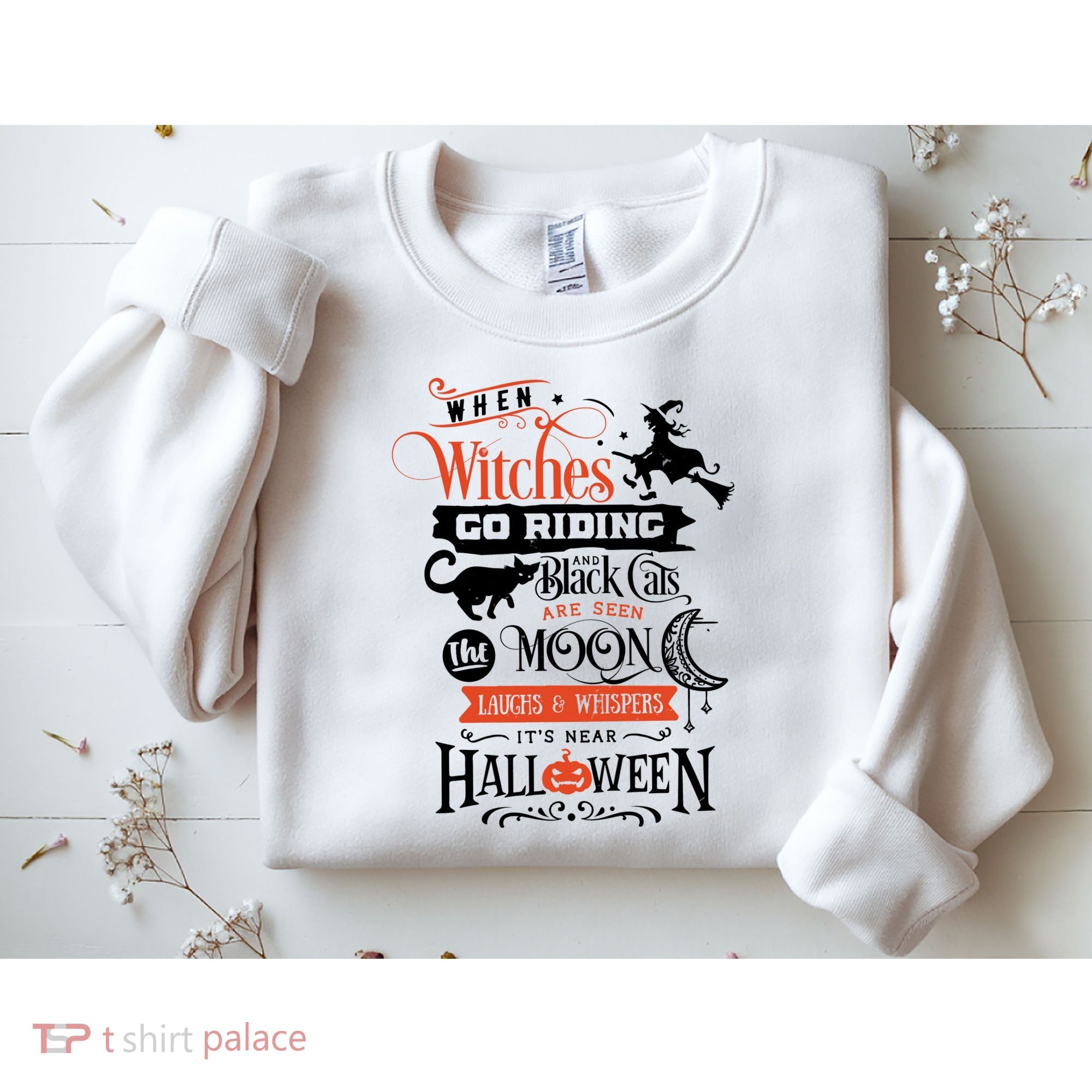 Its Near Halloween Witches Go Riding Festive Sweatshirt
