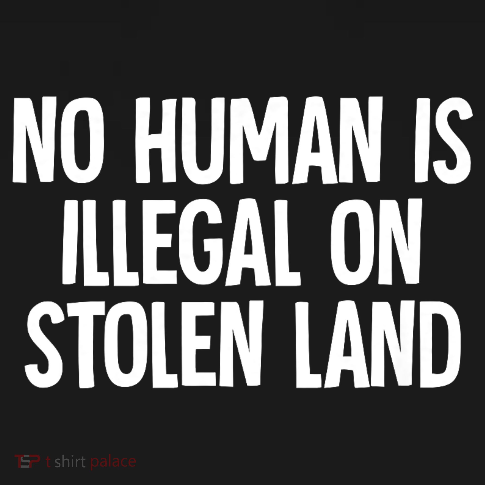 Indigenous No Human Is Illegal On Stolen Land Women's T-Shirt