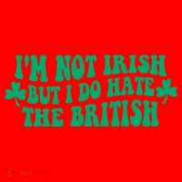 I’m Not Irish But I Do Hate The British Funny St Patrick's Day Irish British Santa Hat thumb 1