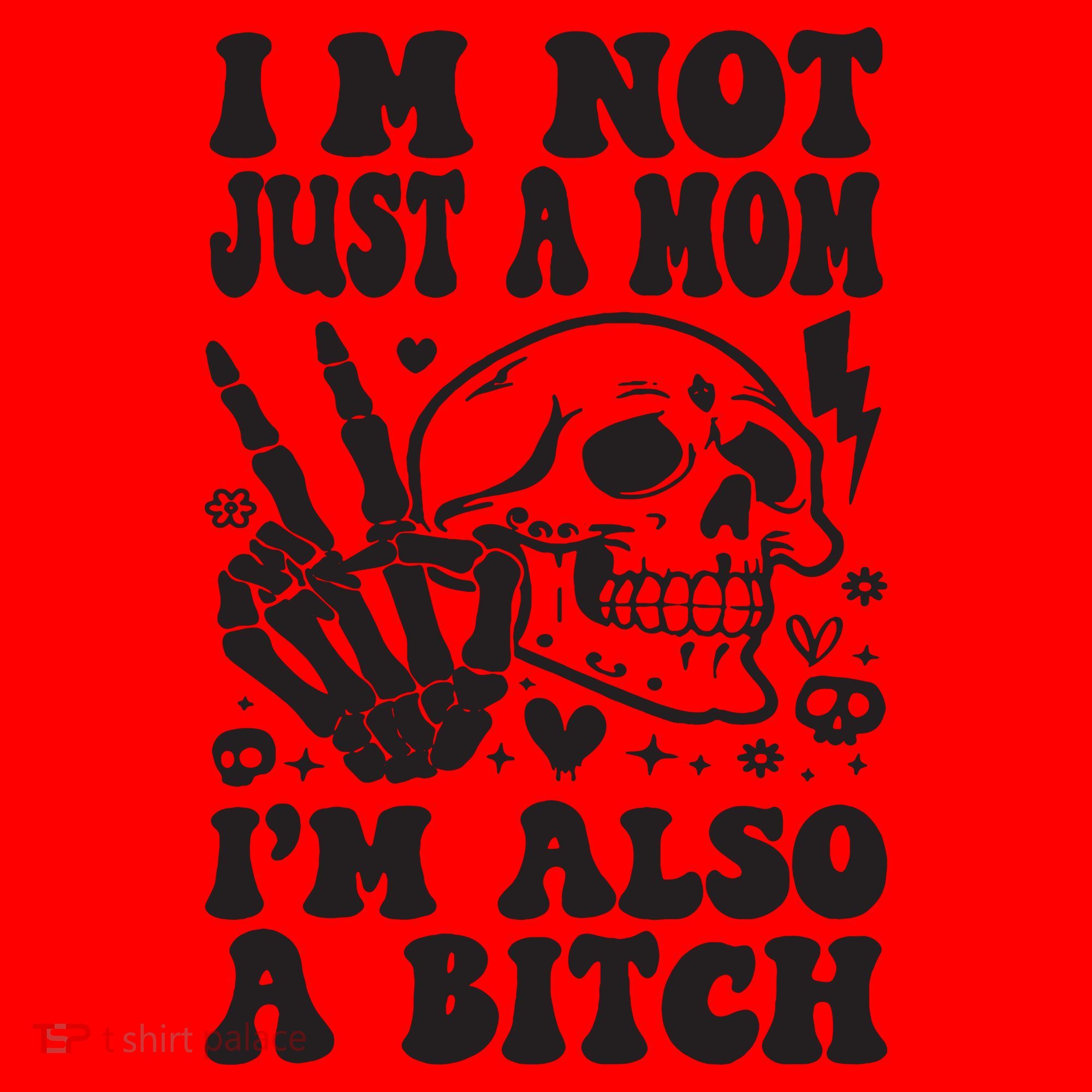 IM Not Just A Mom IM A Bitch Santa Hat