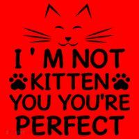 I'm Not Kitten You You're Perfect Cat Day Cat Lover Santa Hat thumb 1