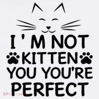 I'm Not Kitten You You're Perfect Cat Day Cat Lover Visor thumb 3