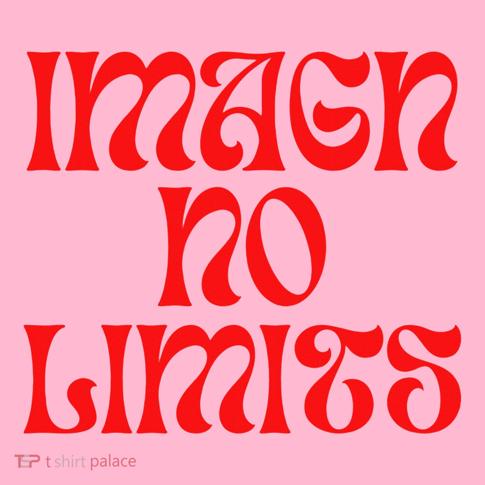 Imagn No Limits Coaster