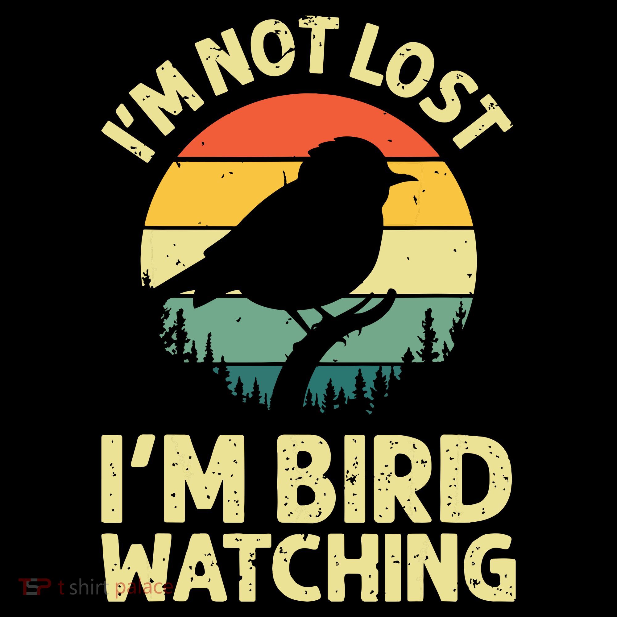 IM Not Lost IM Bird Wat Ching Bird Watcher Birder Women's Hoodie