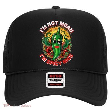 Im Not Mean Im Spicy Nice Sarcastic Humor Sarcasm Funny Gift Hat