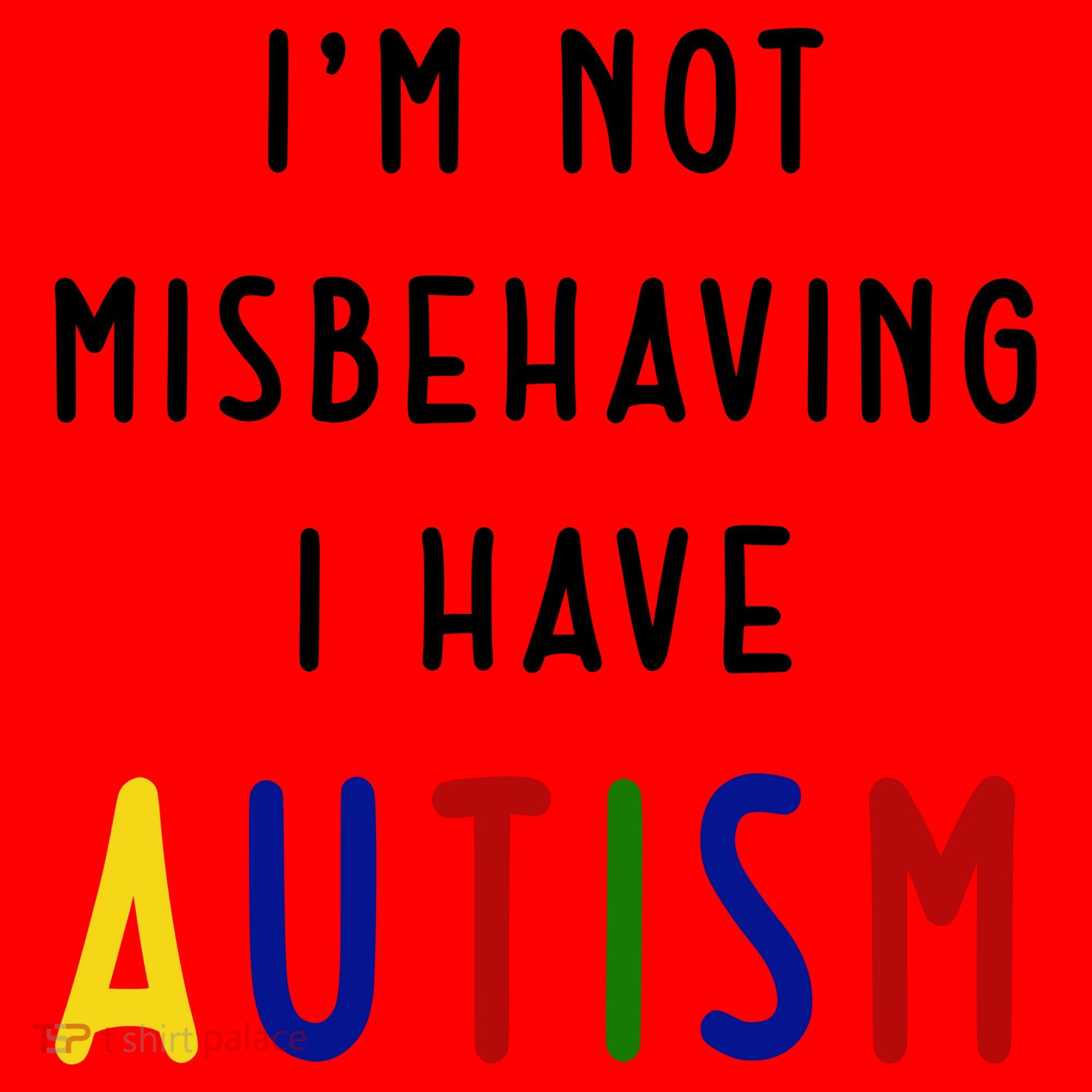 I'm Not Misbehaving I Have Autism Santa Hat