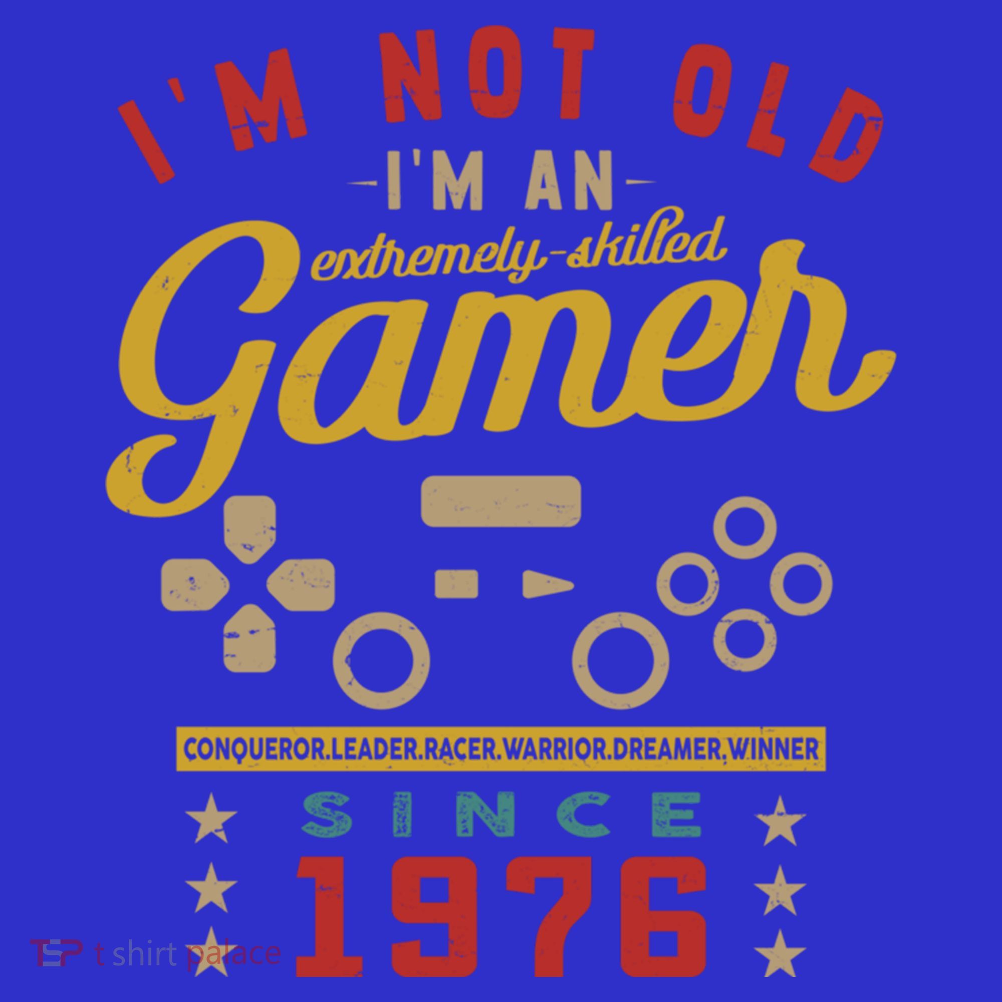 IM Not Old IM A Skilled Gamer 1976 Videogame Gaming Funny Gift Toddler Hoodie