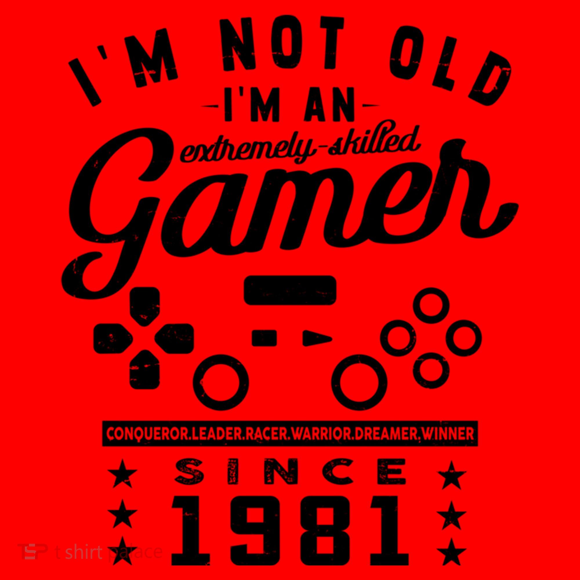 IM Not Old IM A Skilled Gamer 1981 Videogame Gaming Gift Santa Hat