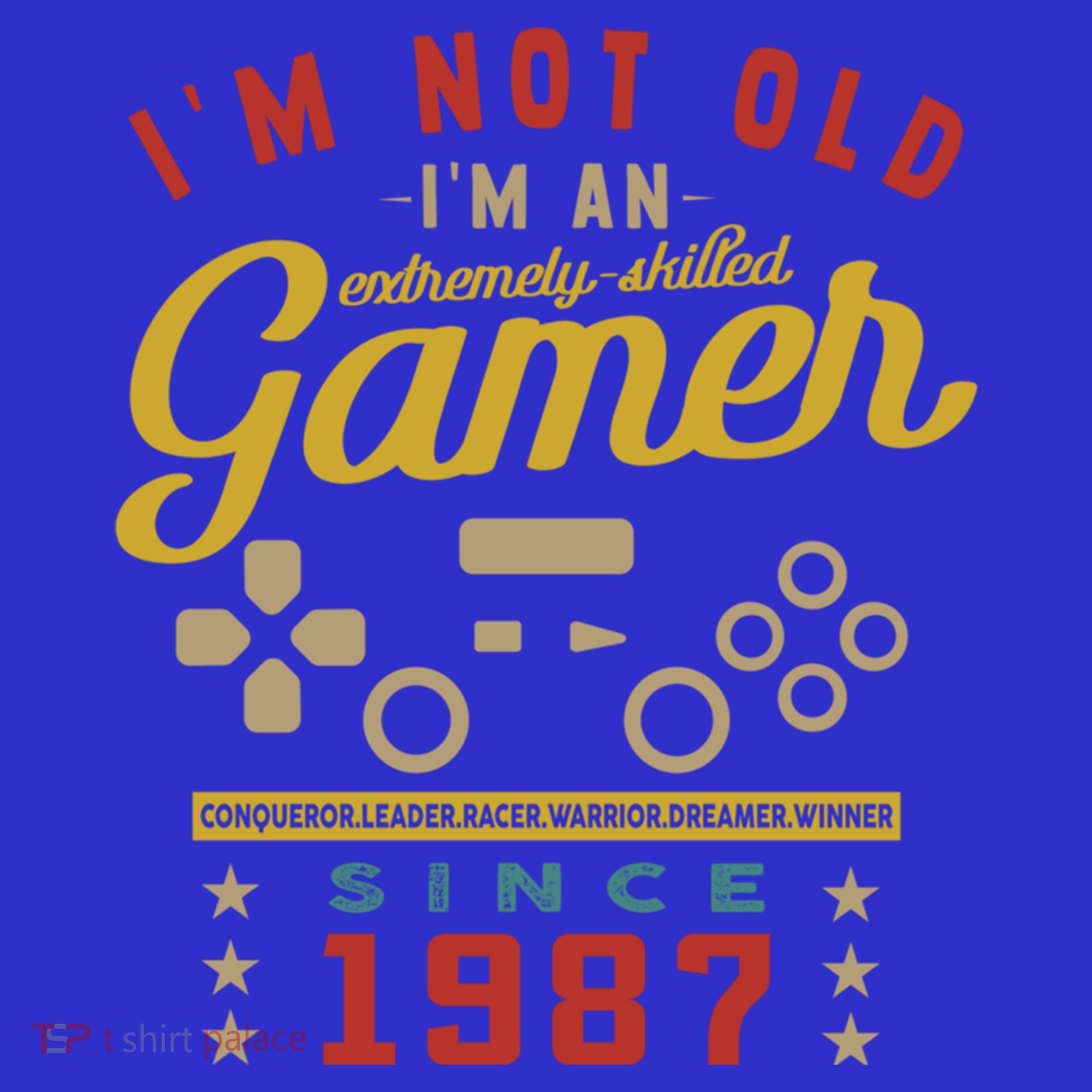 IM Not Old IM A Skilled Gamer 1987 Videogame Gaming Gift Sweatshirt