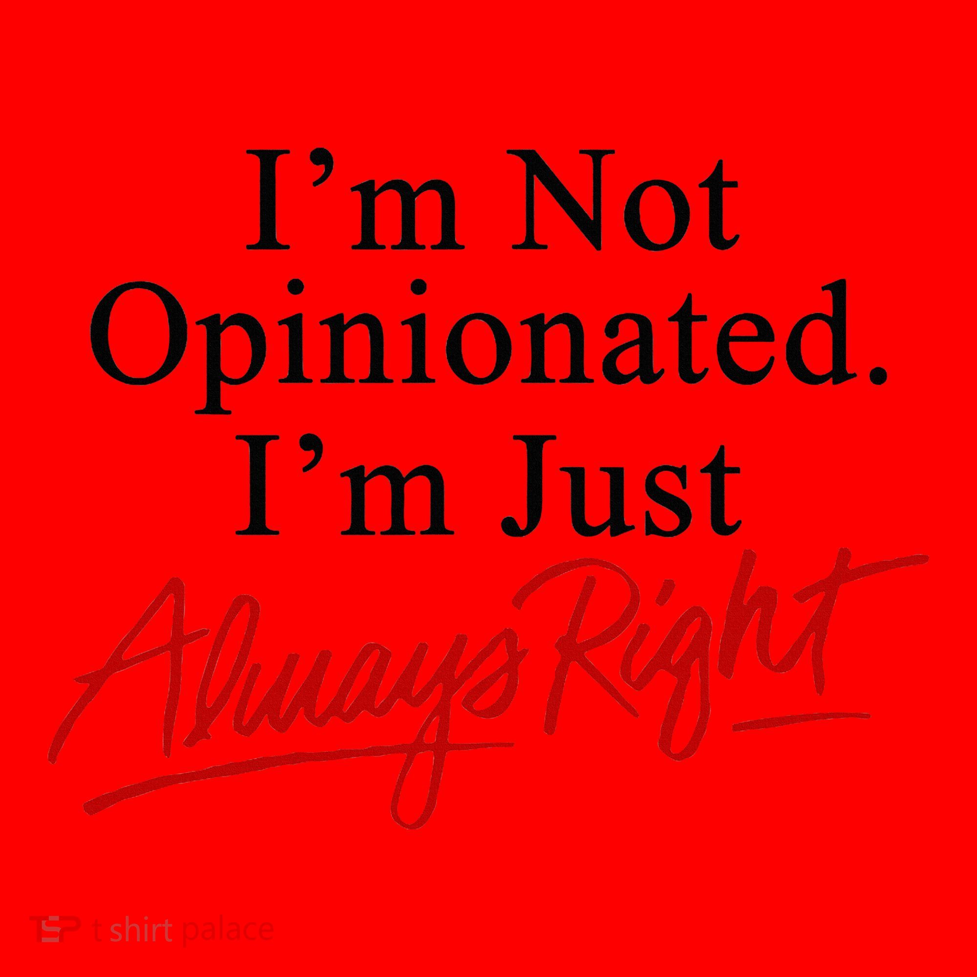 I’M Not Opinionated I’M Just Always Right Santa Hat