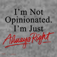 I’M Not Opinionated I’M Just Always Right Toddler Hoodie thumb 2