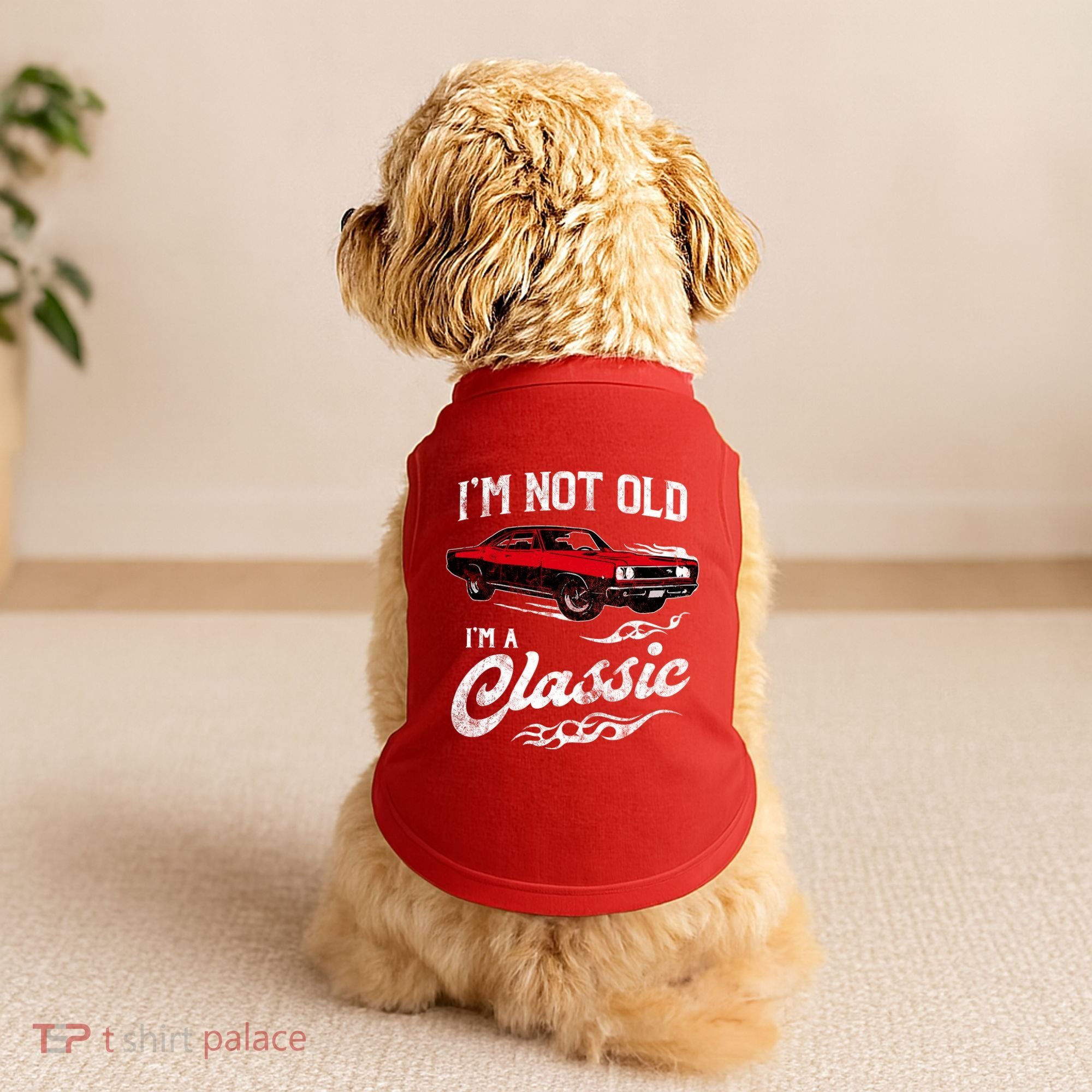 IM Not Old IM Classic Funny 60s Muscle Car Lover Gift Doggie Tank