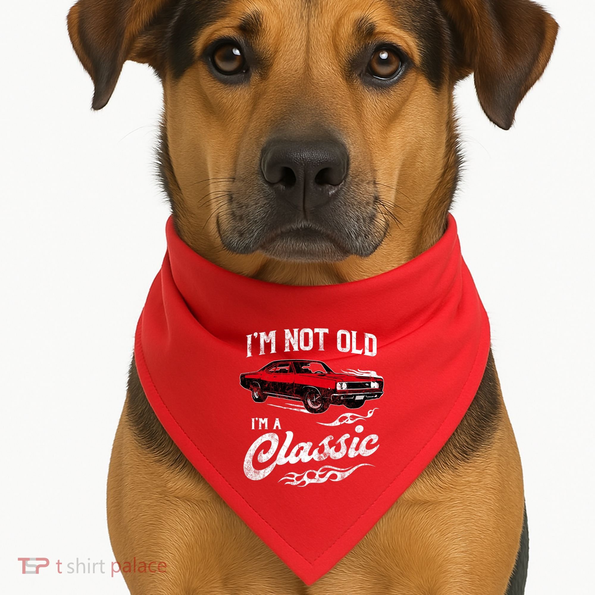 IM Not Old IM Classic Funny 60s Muscle Car Lover Gift USA-Made Doggie Bandana