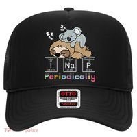 I Nap Periodically Funny Science Sloth Lover Koala Mama Bear Hat thumb 0