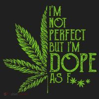 IM Not Perfect But IM Dope As Fuck Weed 420 Stoner Gift Beanie thumb 2