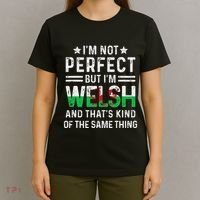 IM Not Perfect But IM Welsh Pride Wales Family Heritage T-Shirt thumb 4