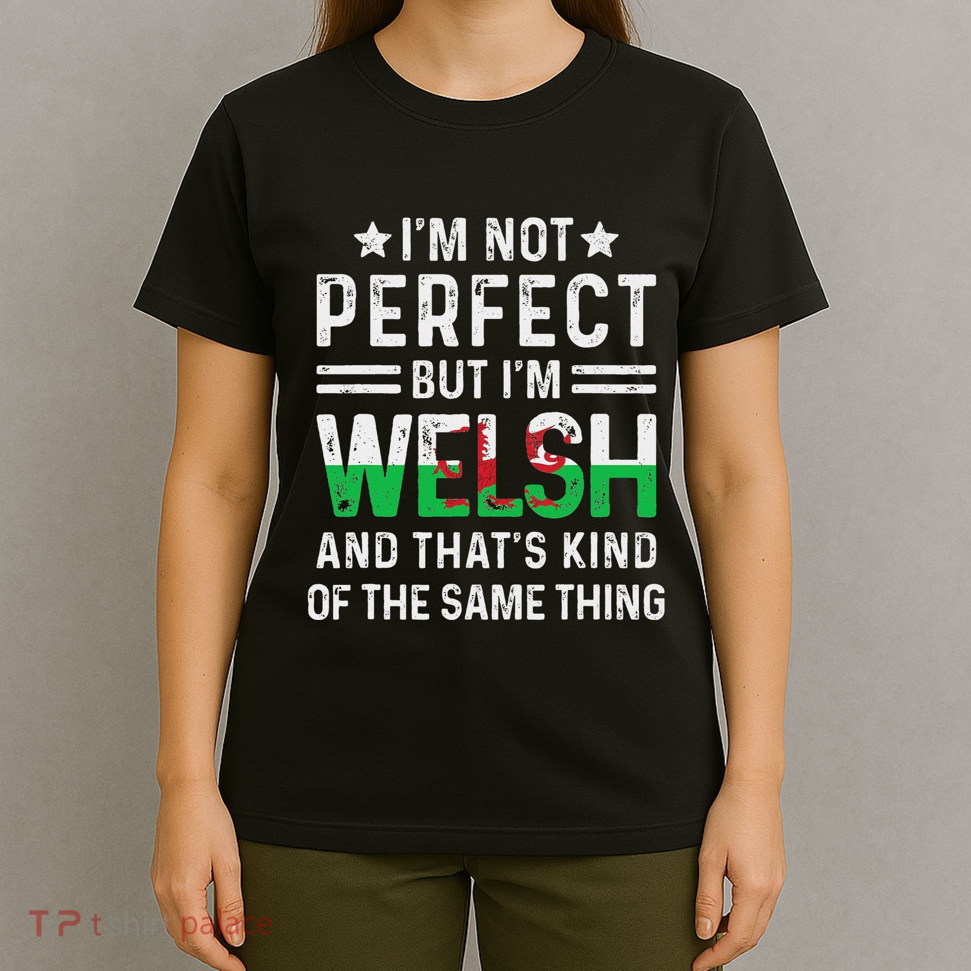 IM Not Perfect But IM Welsh Pride Wales Family Heritage T-Shirt