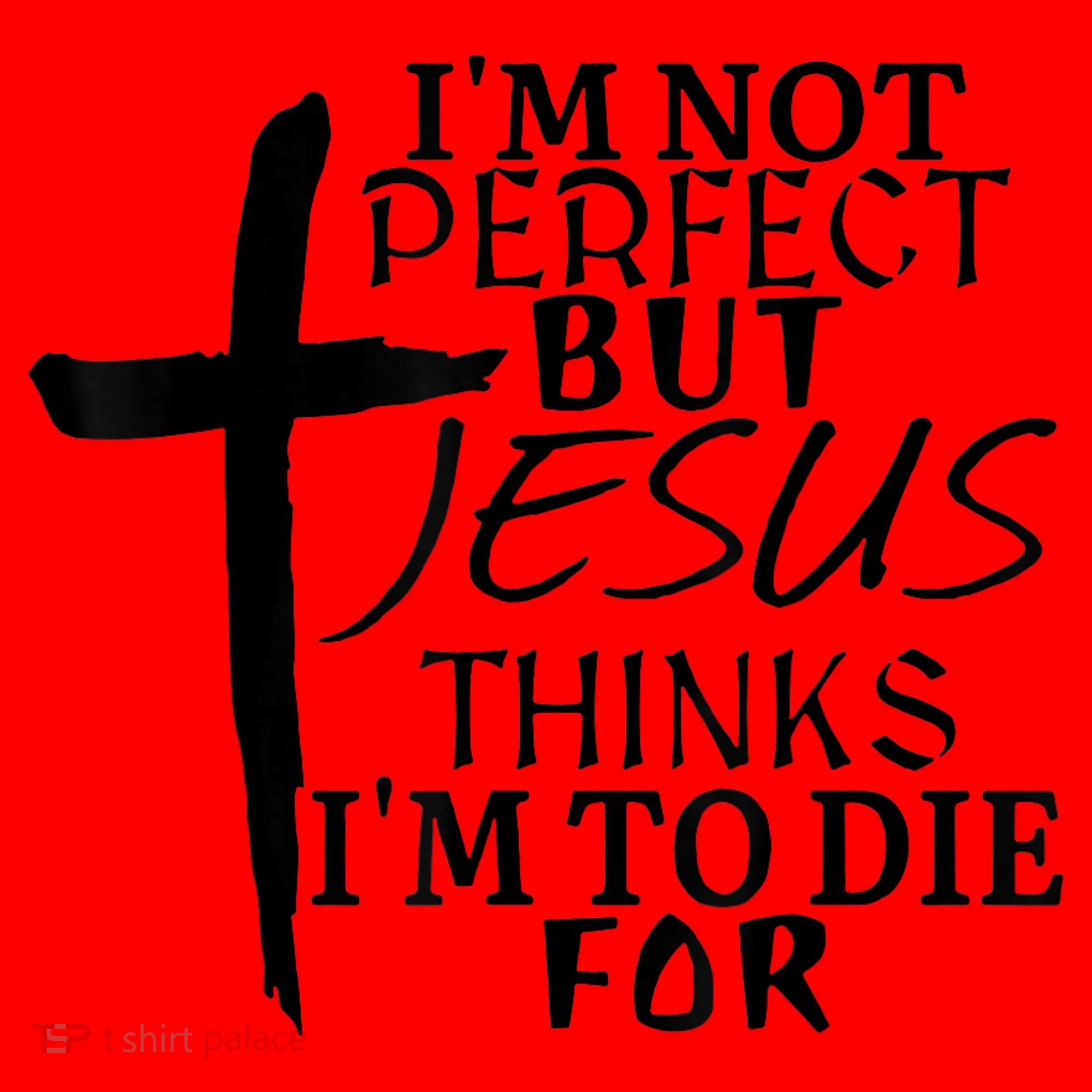 I'm Not Perfect But Jesus Thinks I'm To Die For Santa Hat