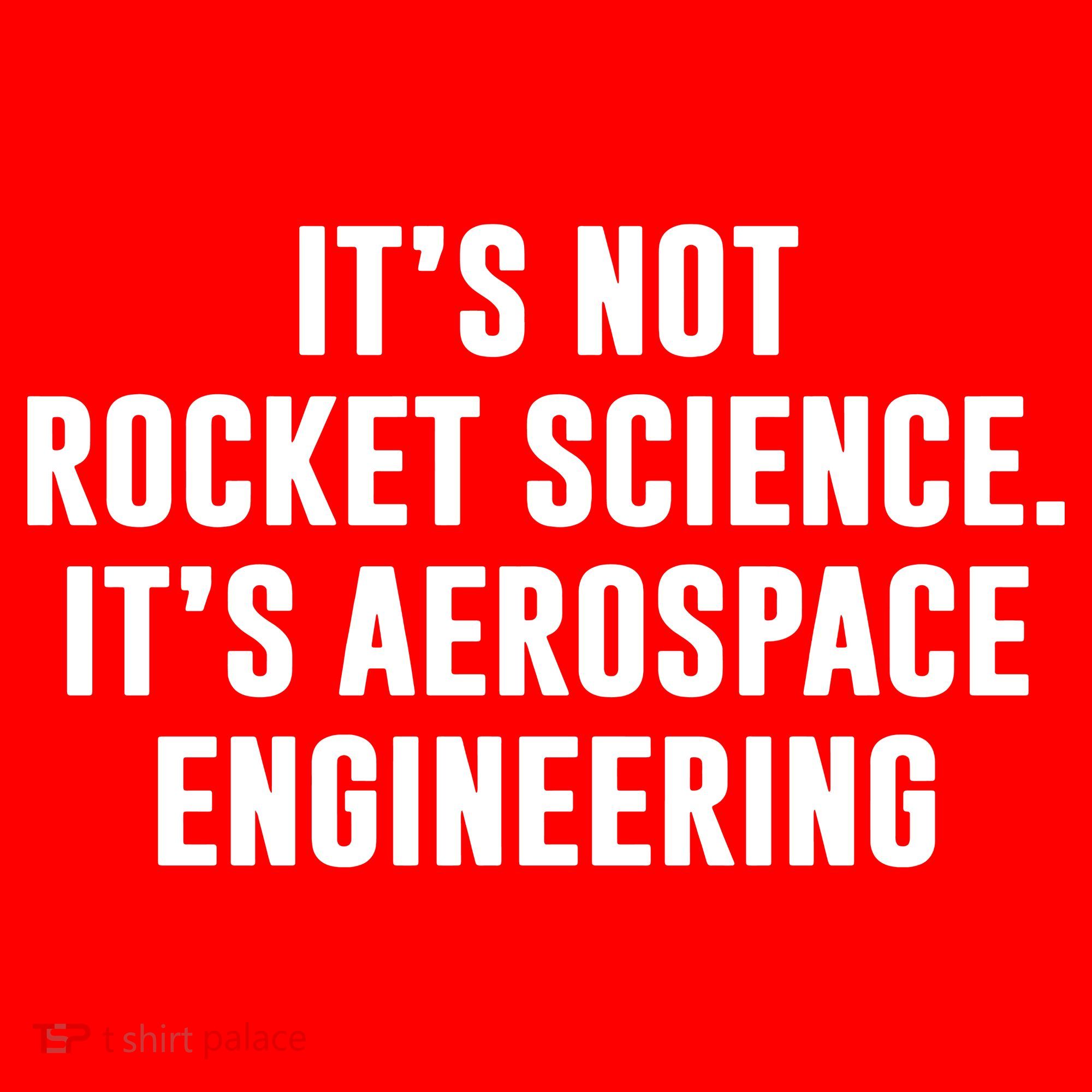 It's Not Rocket Science It's Aerospace Engineering Santa Hat