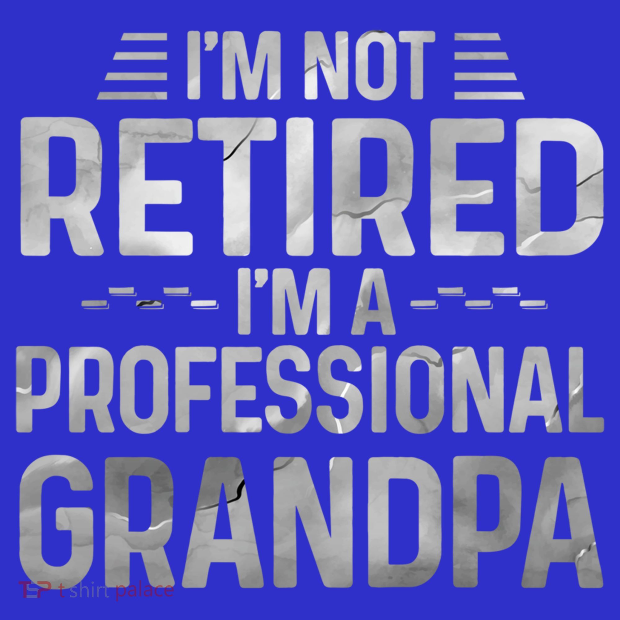 I'm Not Retired I'm A Professional Grandpa Cool Retirement Cute Gift Long Sleeve Shirt