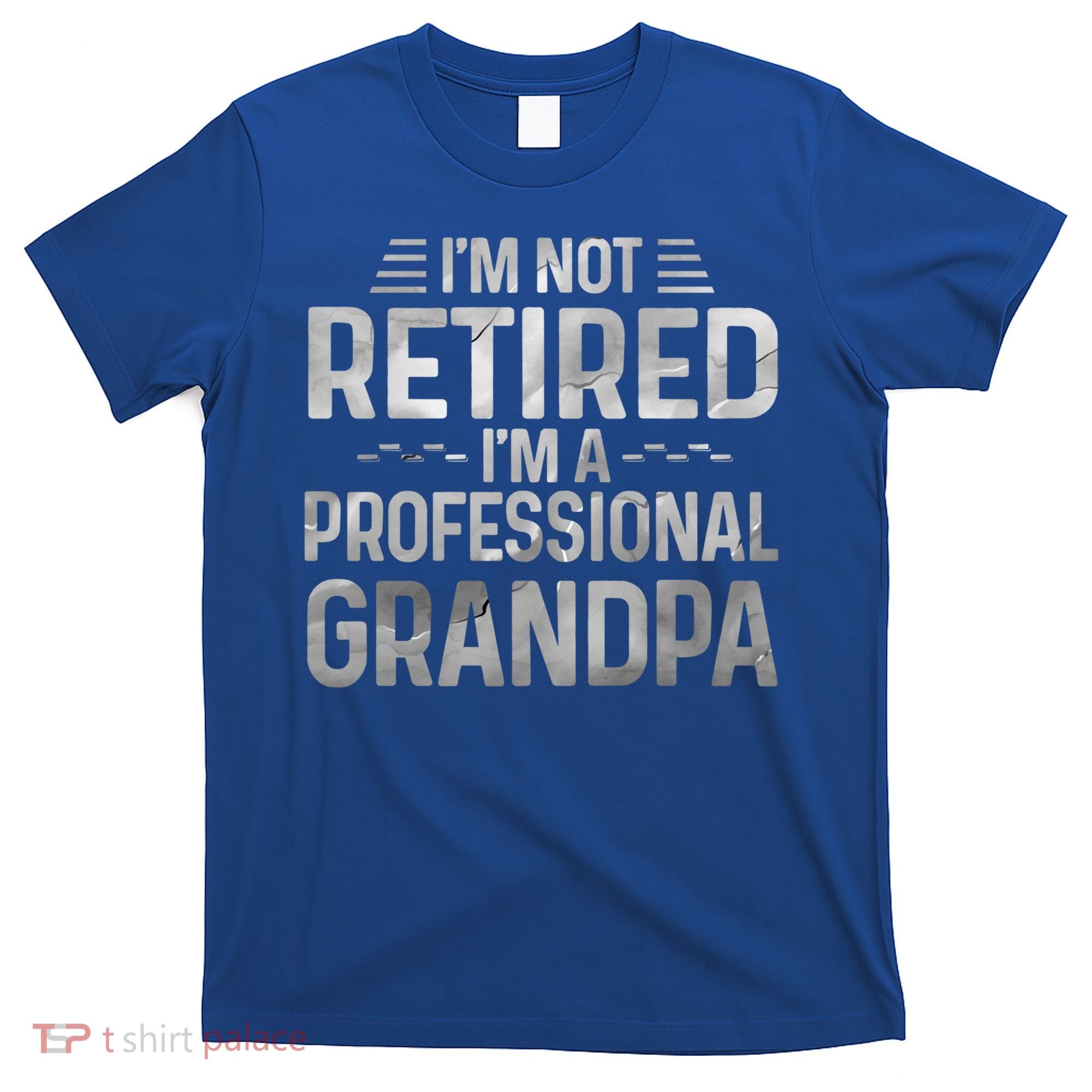 I'm Not Retired I'm A Professional Grandpa Cool Retirement Cute Gift T-Shirt
