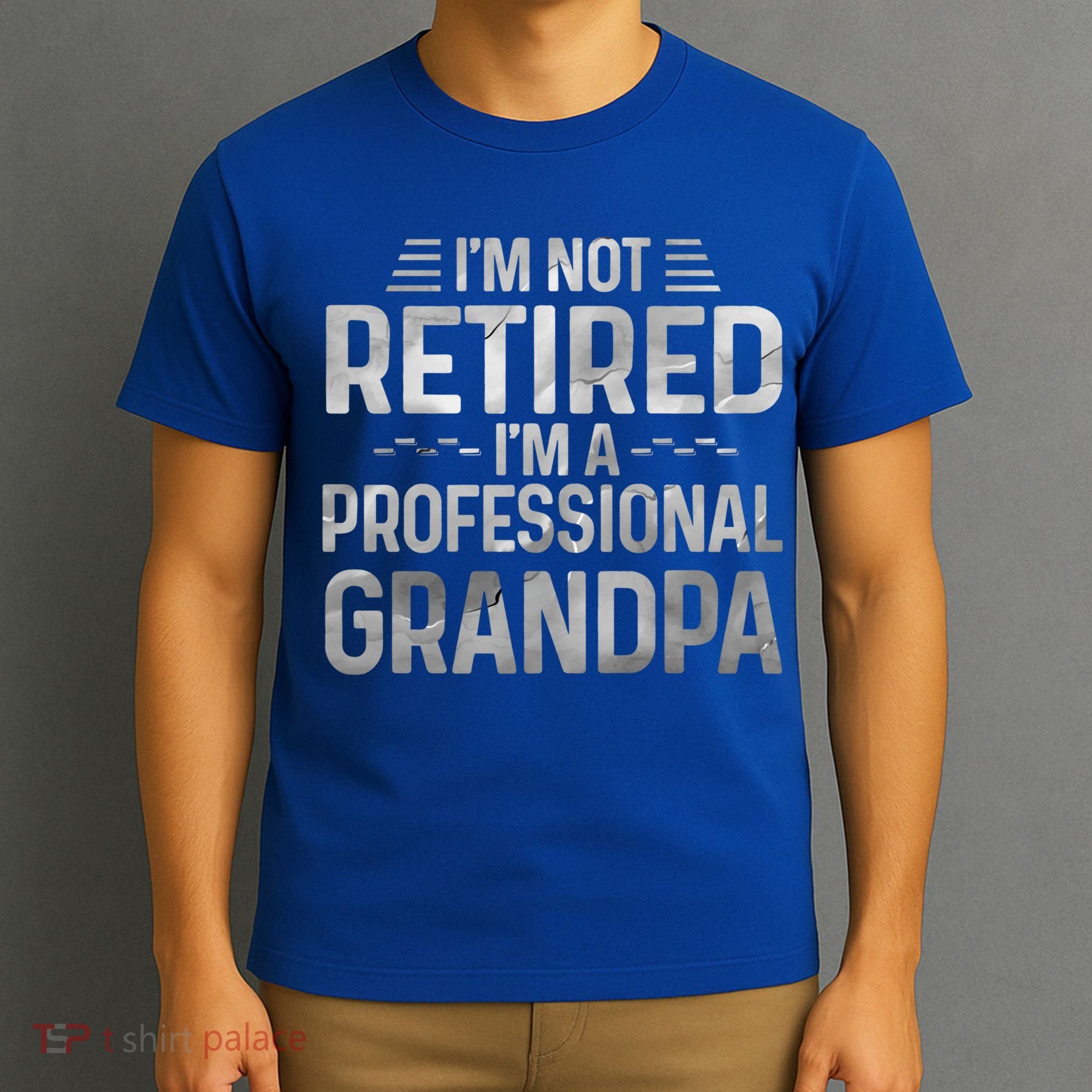 I'm Not Retired I'm A Professional Grandpa Cool Retirement Cute Gift T-Shirt