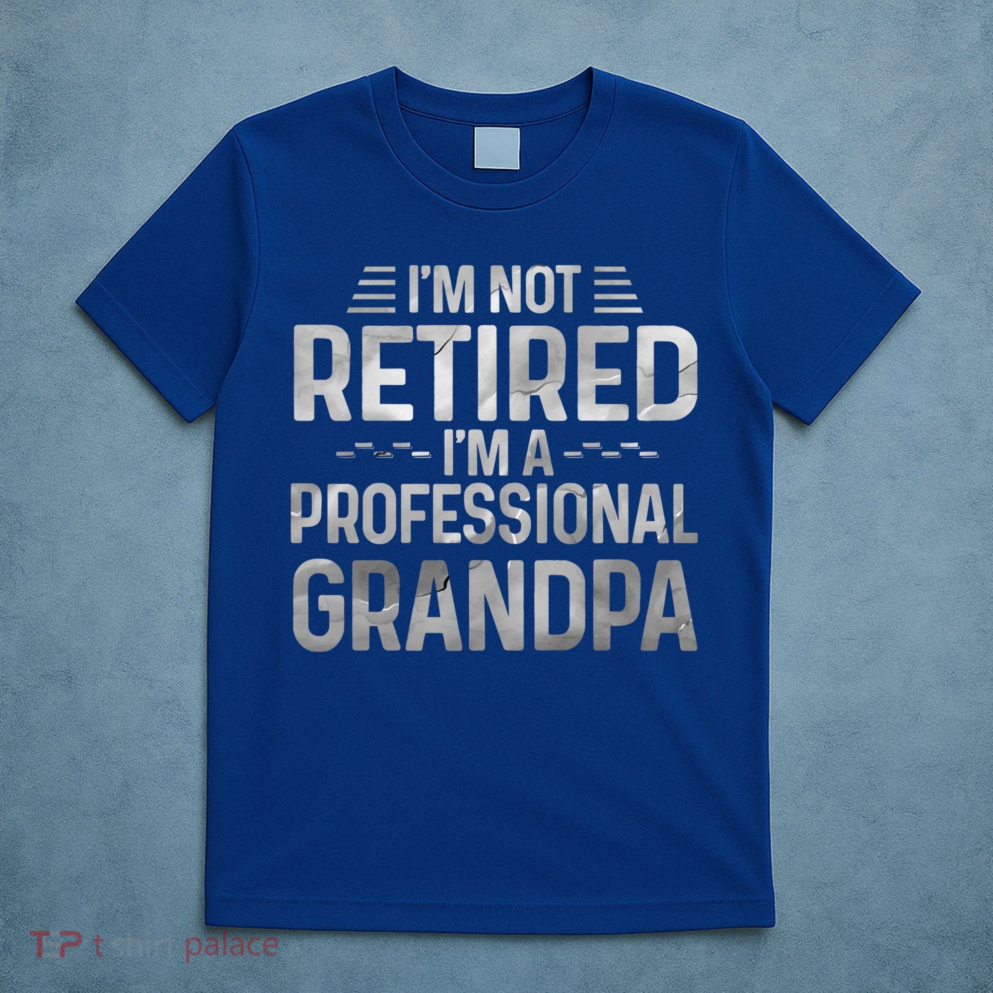 I'm Not Retired I'm A Professional Grandpa Cool Retirement Cute Gift T-Shirt