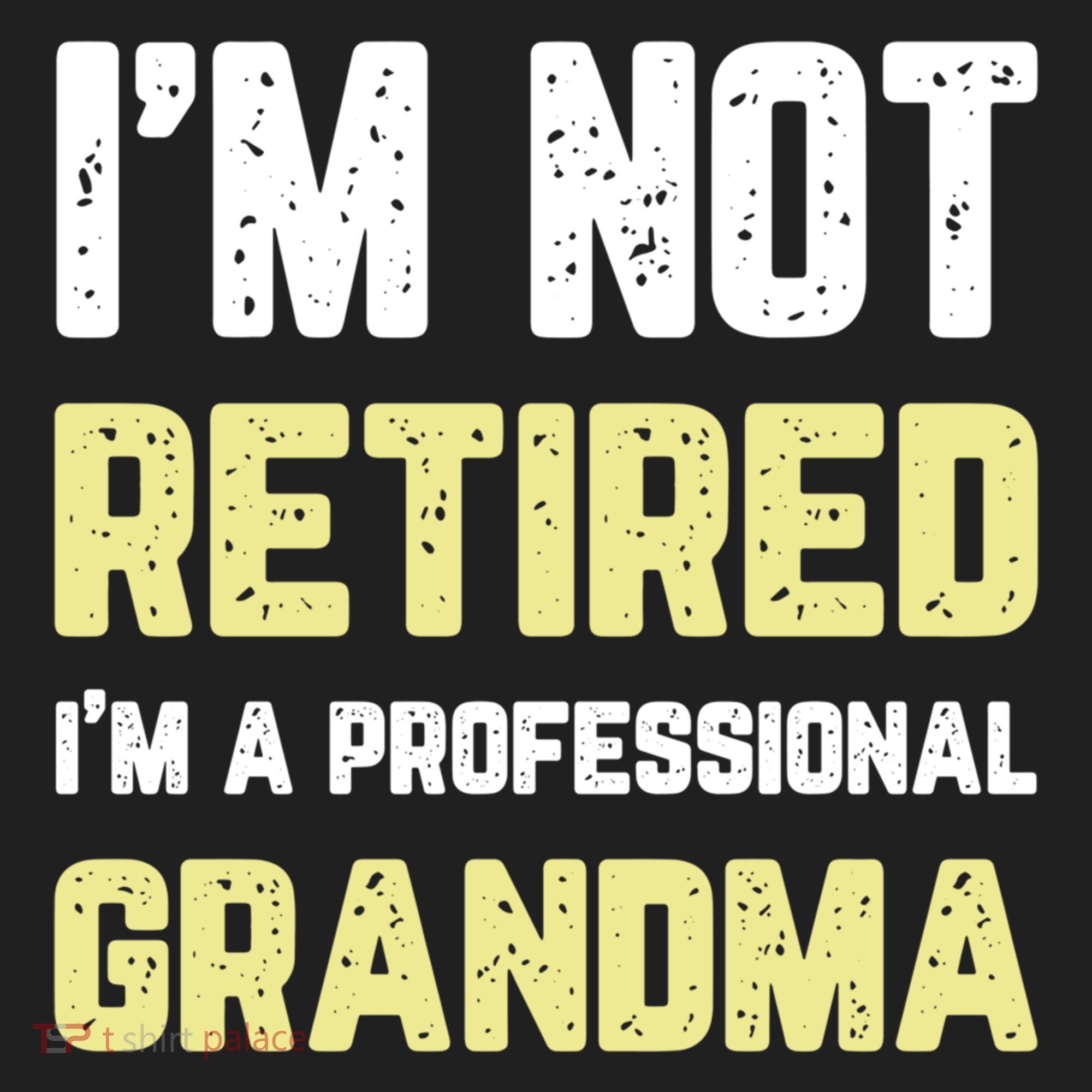 Im Not Retired Professional Grandma Retiret Cool Gift Beanie