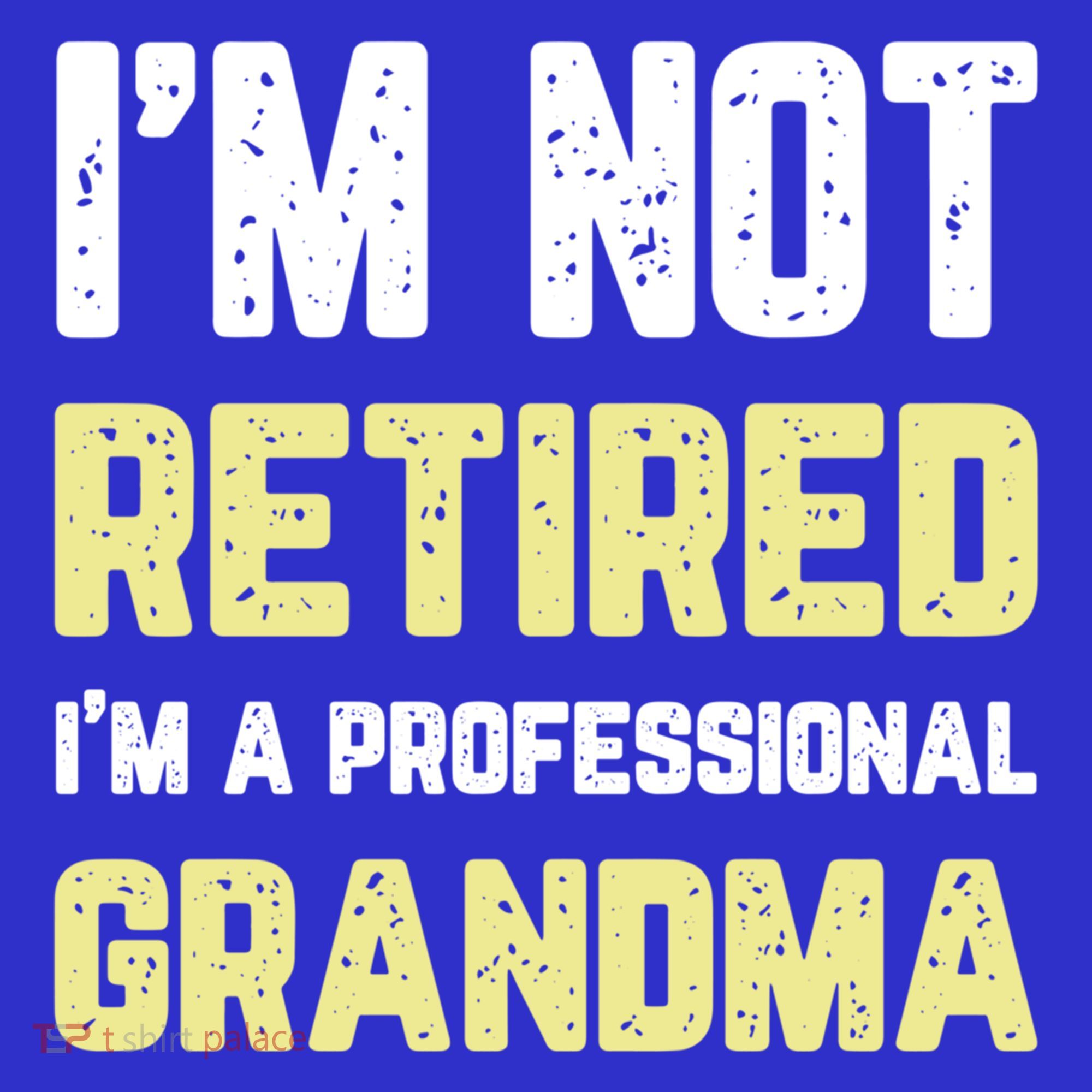 Im Not Retired Professional Grandma Retiret Cool Gift Sweatshirt