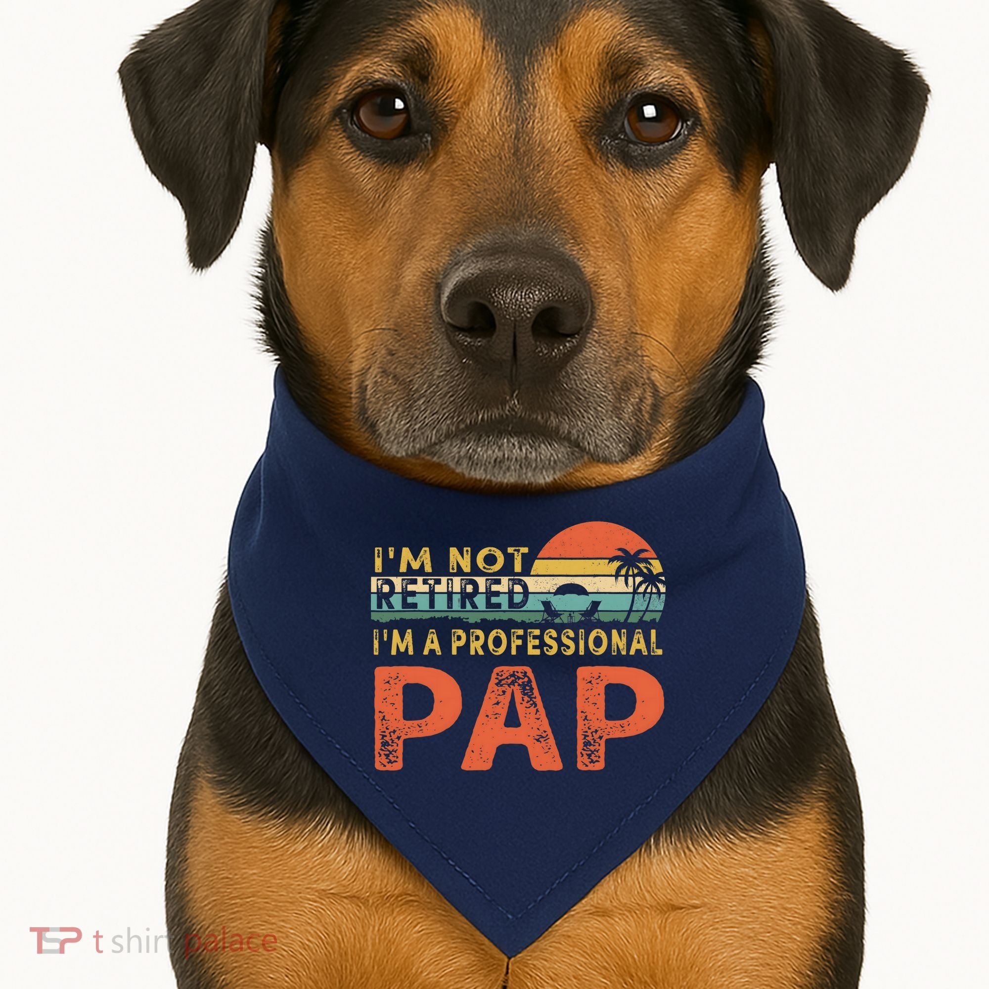 I'm Not Retired A Professional Pap Father's Day USA-Made Doggie Bandana