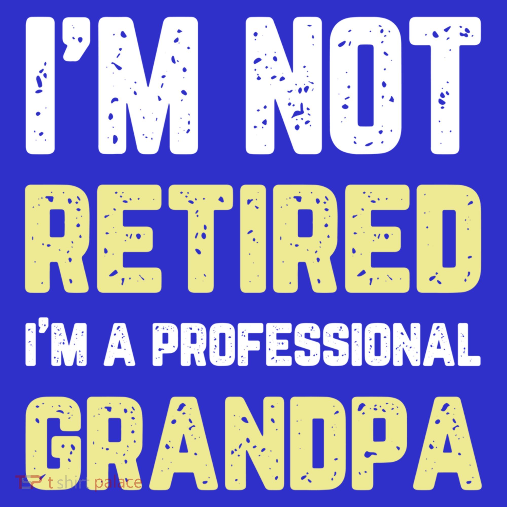 Im Not Retired Professional Grandpa Retiret Cool Funny Gift Long Sleeve Shirt
