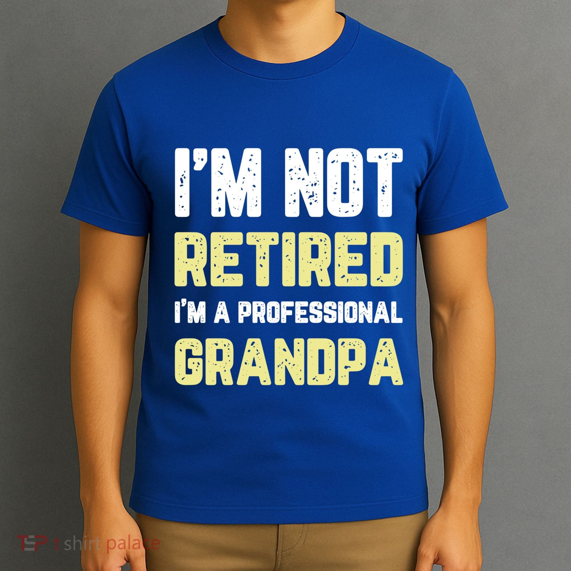Im Not Retired Professional Grandpa Retiret Cool Funny Gift T-Shirt