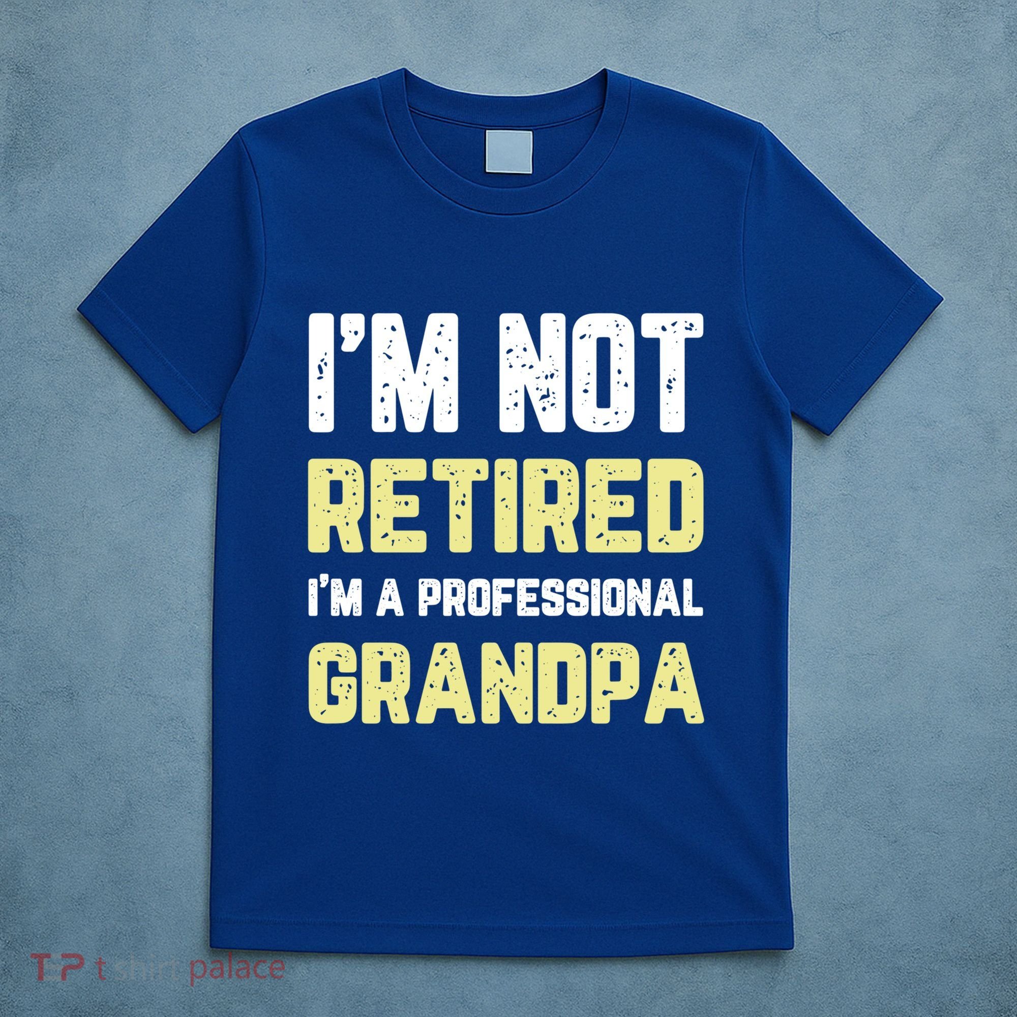 Im Not Retired Professional Grandpa Retiret Cool Funny Gift T-Shirt