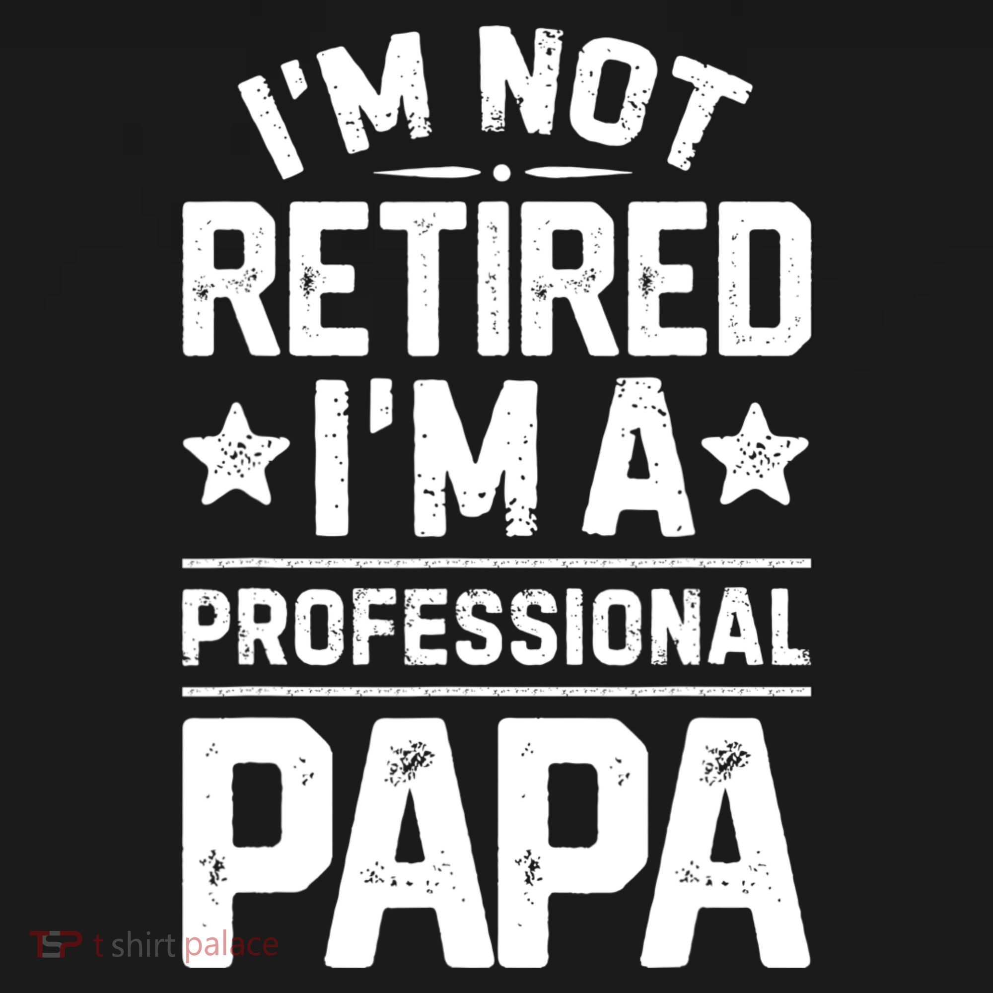 IM Not Retired IM A Professional Papa Fathers Day Daddy Women's Hoodie