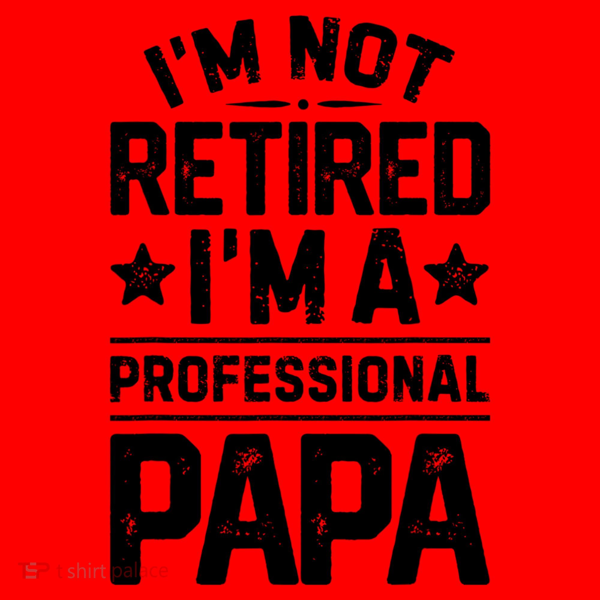 IM Not Retired IM A Professional Papa Fathers Day Daddy Santa Hat