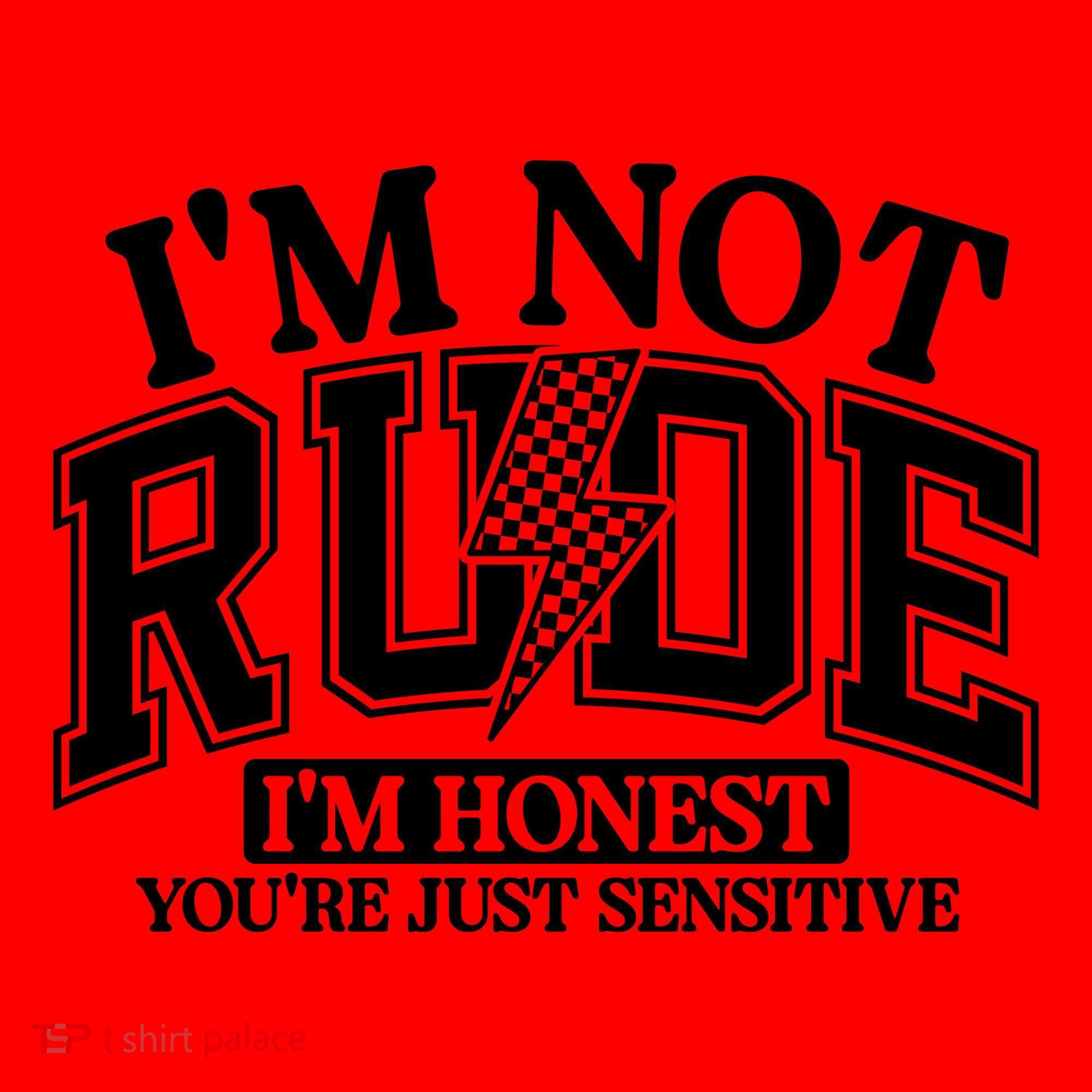 IM Not Rude Im Honest Snarky Sarcastic Funny Santa Hat