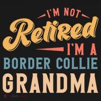 Im Not Retired Im A Border Collie Grandma Great Gift Ornament thumb 1