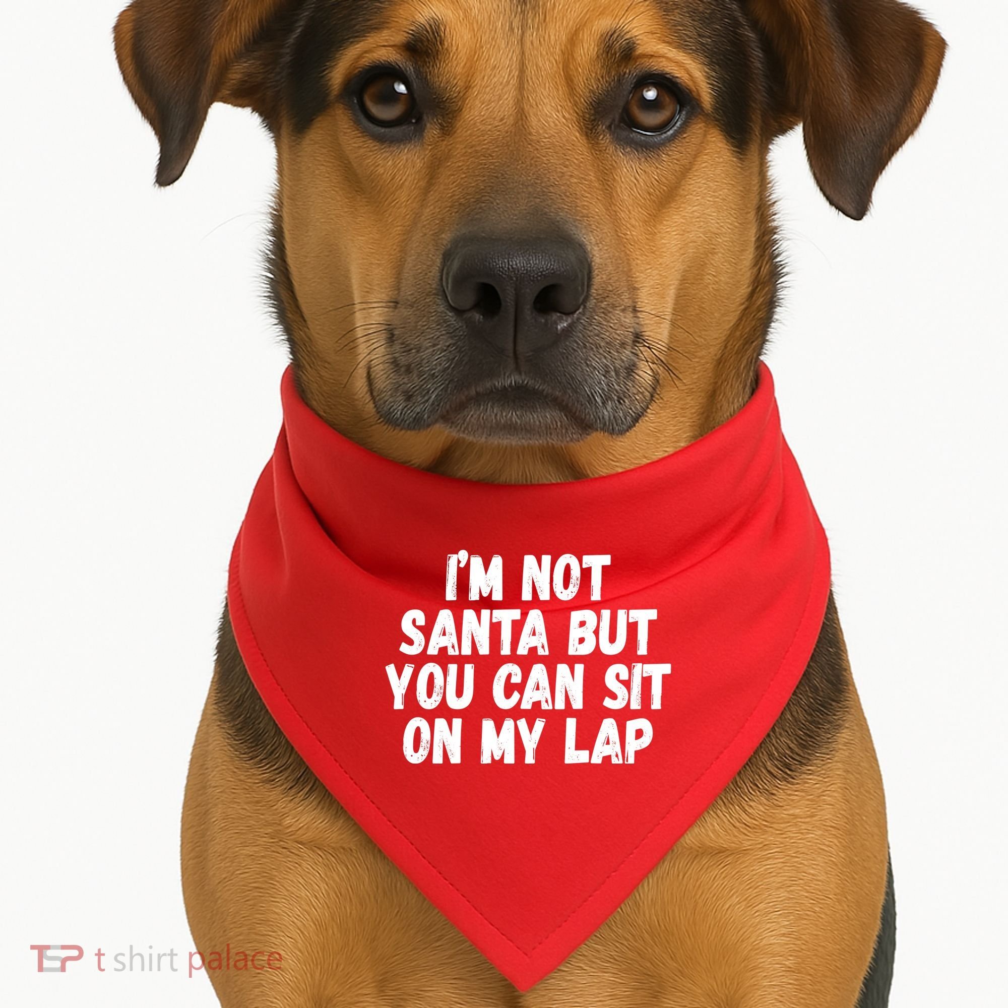 Im Not Santa But You Can Sit On My Lap Funny USA-Made Doggie Bandana