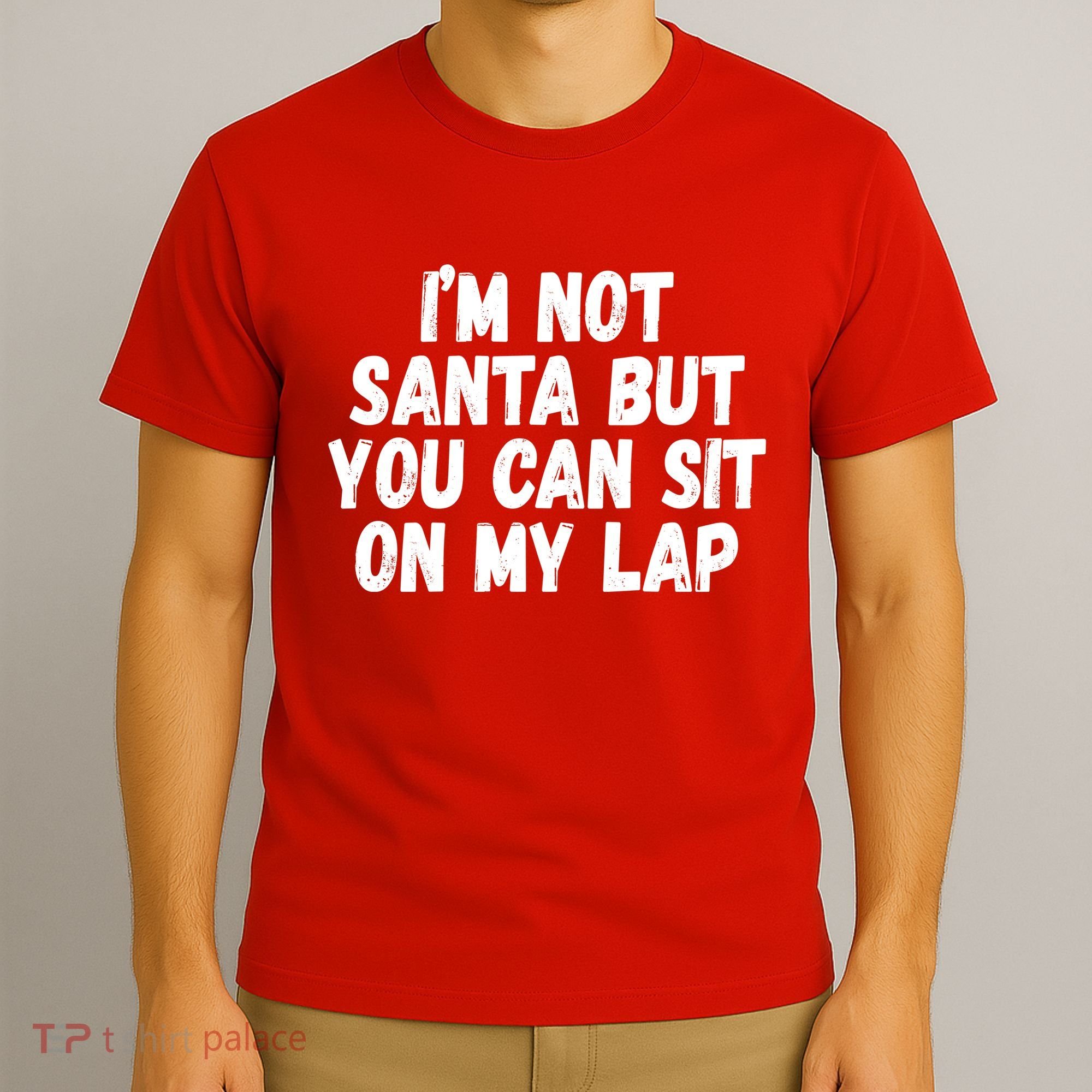 Im Not Santa But You Can Sit On My Lap Funny T-Shirt