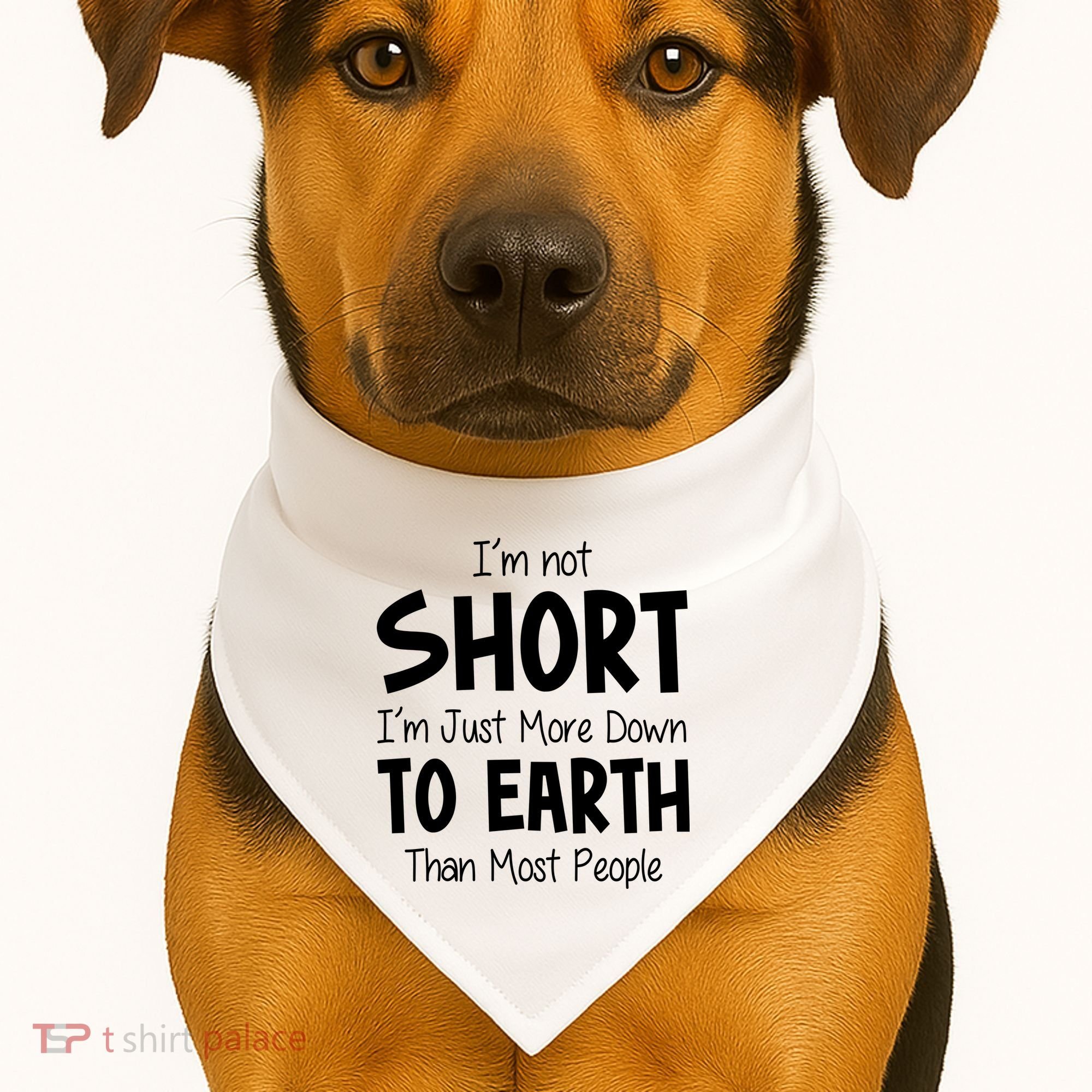Im Not Short Im Just More Down To Earth Than Most People USA-Made Doggie Bandana