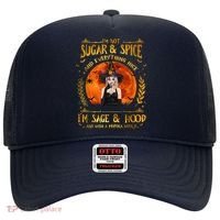 I'm Not Sugar And Spice And Everything Nice I'm Sage Hood Hat thumb 0