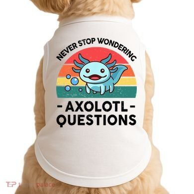 I Never Stop Axolotl Question Wondering Kids Axolotl Doggie Tank