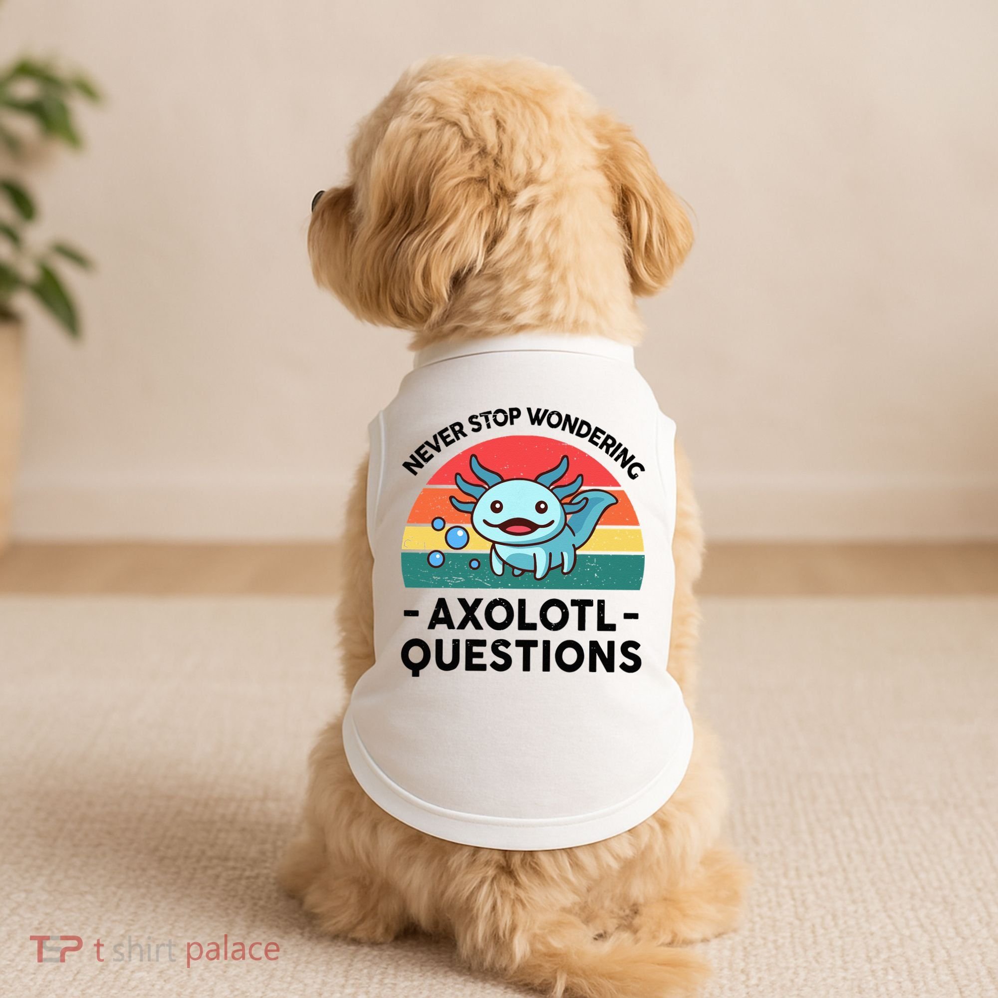 I Never Stop Axolotl Question Wondering Kids Axolotl Doggie Tank