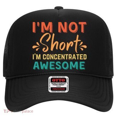 IM Not Short IM Just Concentrated Awesome Funny Hat